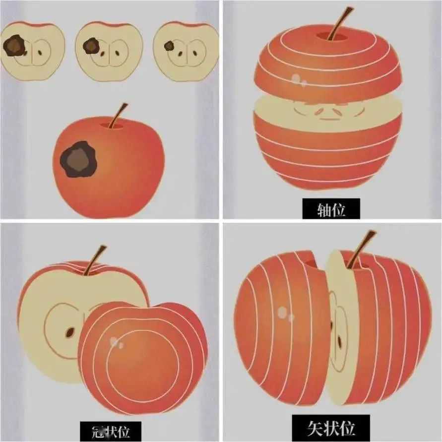 图片9.jpg