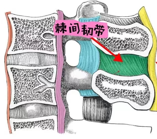 图片1(3).png