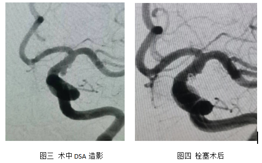 微信图片_20240114061220.png