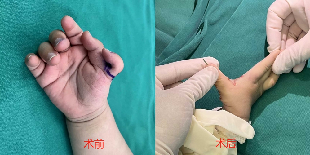 微信图片_20240123214945.jpg
