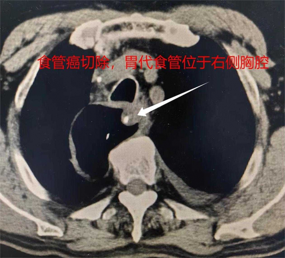 图片8.jpg