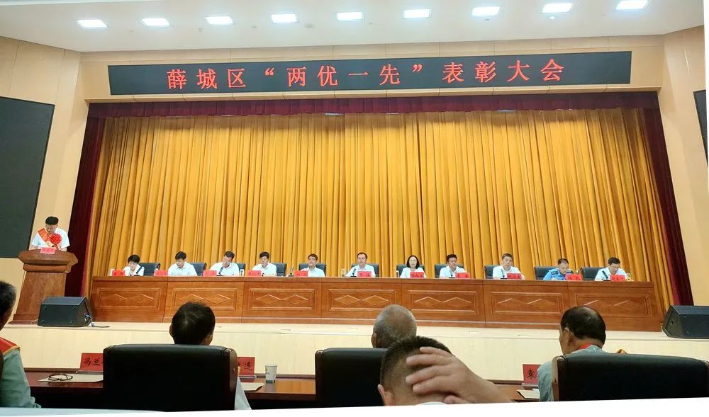 喜报！我院荣获区“先进基层党组织”称号